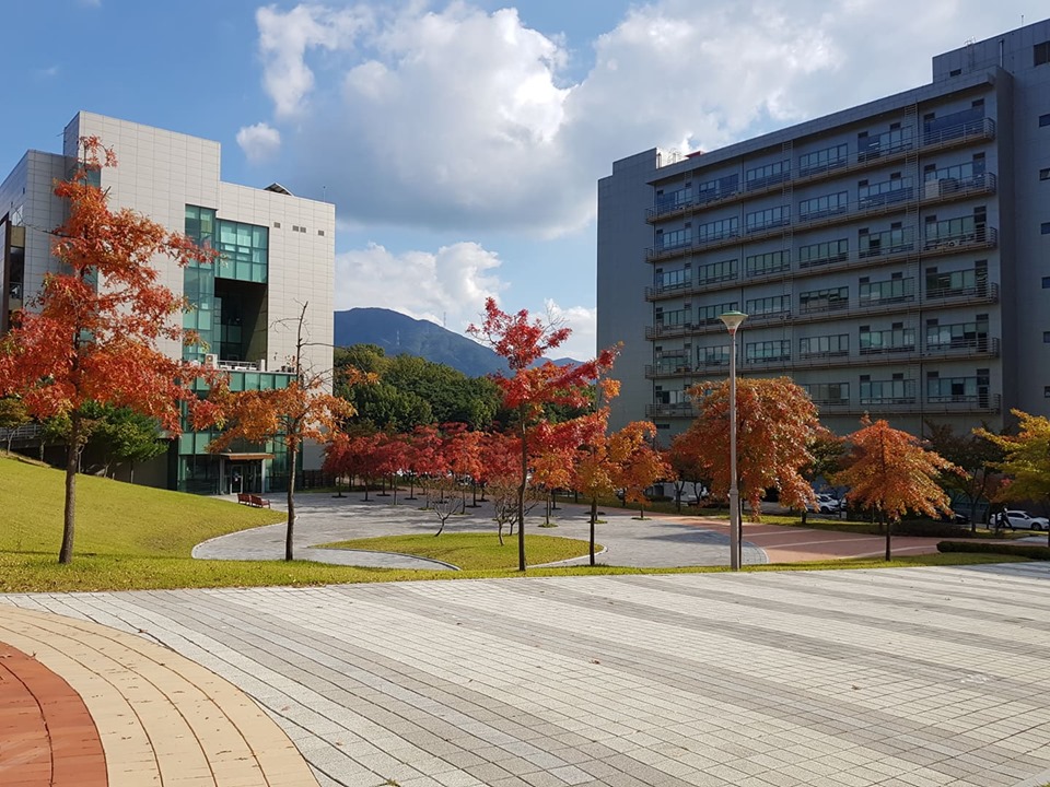 Chọn trường đại học Hàn Quốc